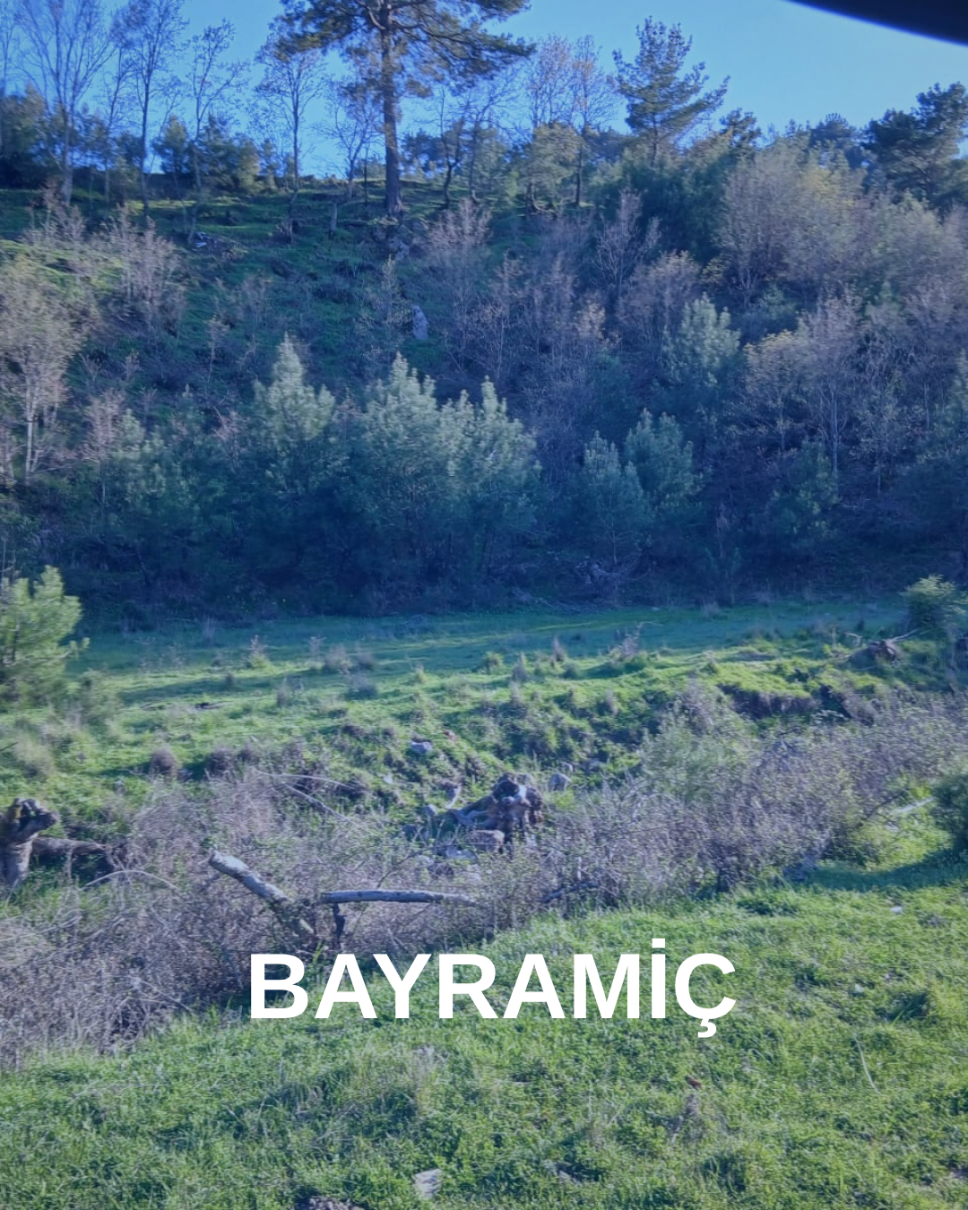 ÇANAKKALE BAYRAMİÇ 1303 M² TARLA